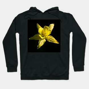 Yellow Colombine Hoodie